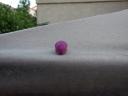 dscf0406.jpg