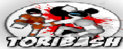 toribash_banner.png