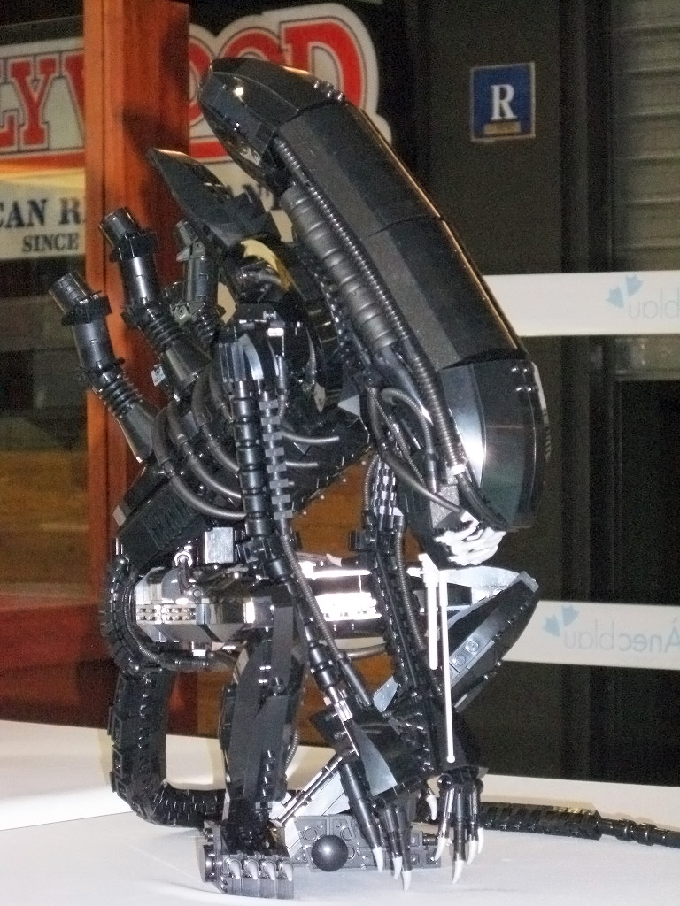 image_c_19.jpg