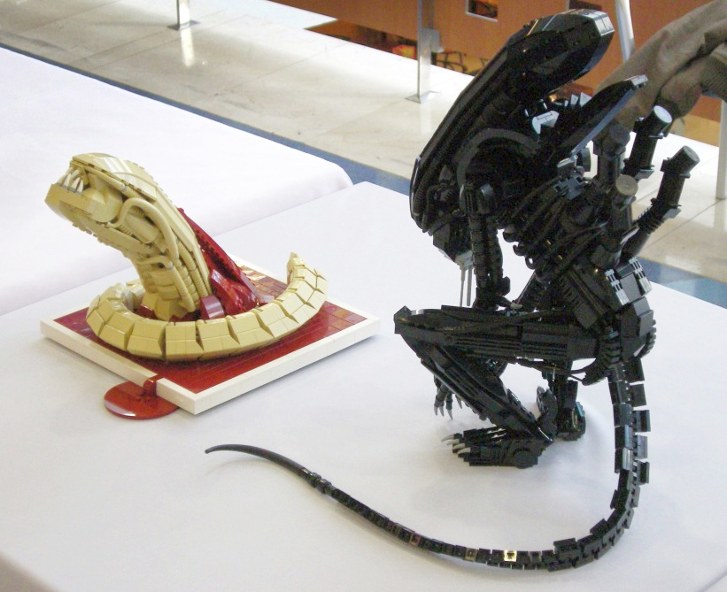 image_c_25.jpg