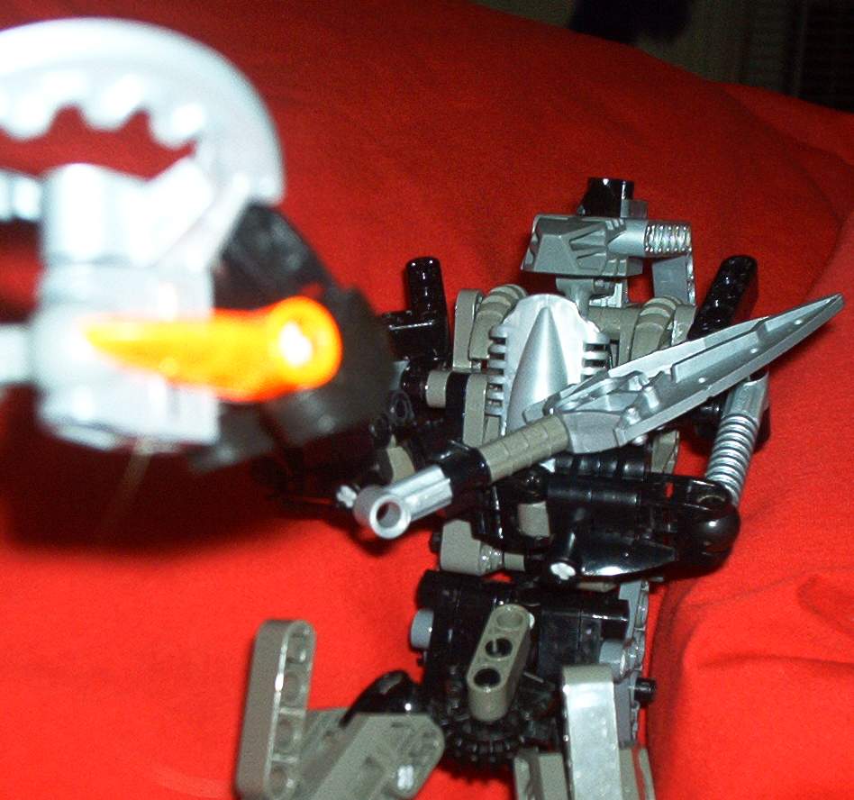 calik4.jpg