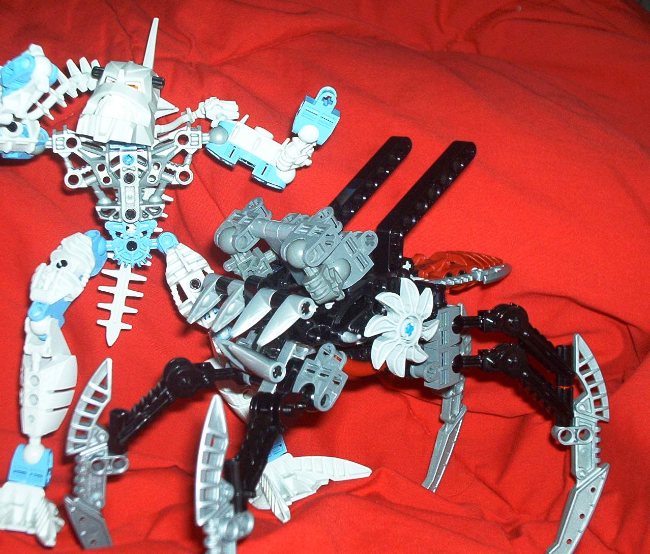 crawler4.jpg
