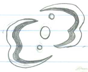 symbol01.jpg