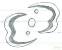 symbol01.jpg