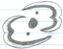 symbol02.jpg