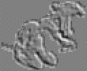 muaka.gif
