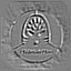 toa4.gif