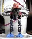 toa_matoran.gif