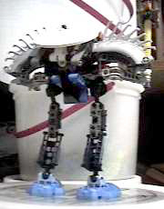 toa02.jpg
