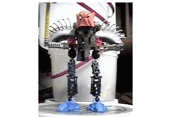 toa_matoran.gif