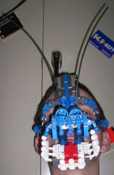 picture06.jpg