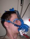 picture16.jpg