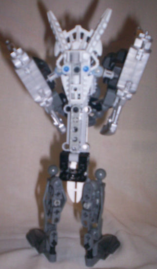 back01.jpg