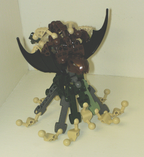 vinetracle.jpg