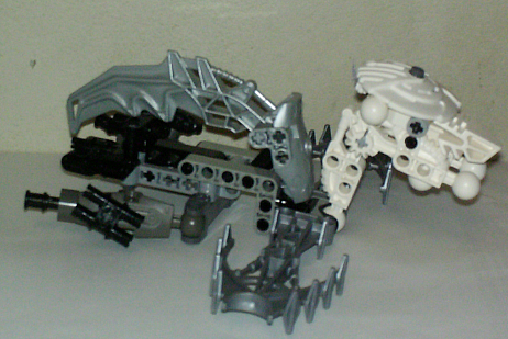 lochness_manas01.jpg