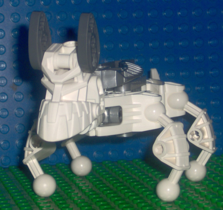 dog03.jpg