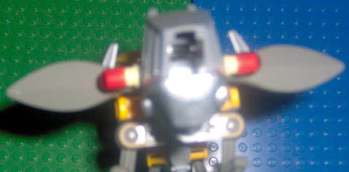 goatcamera.jpg