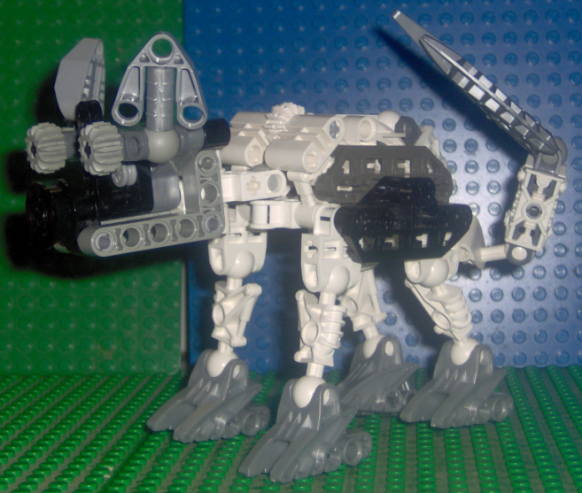 pig02.jpg