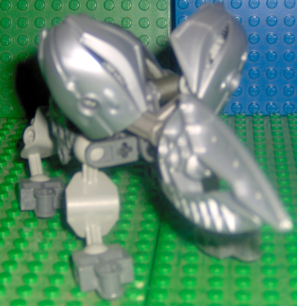 rat01.jpg