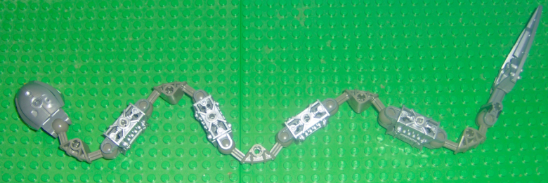 snake01.jpg