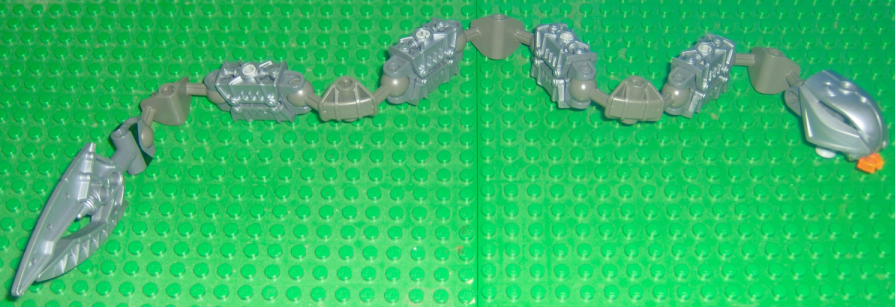 snake02.jpg