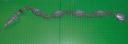 snake04.jpg