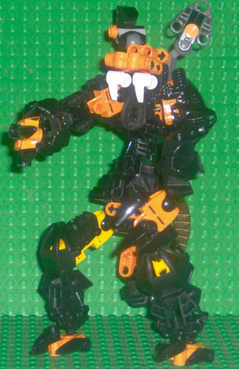 tiger03.jpg