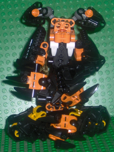 tiger04.jpg