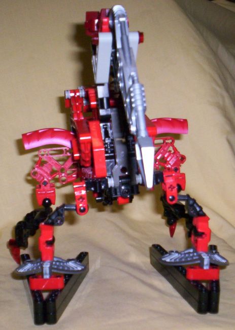 back01.jpg