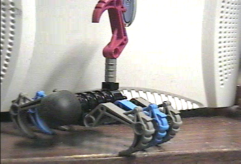 scorpion01.png