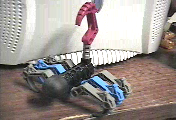scorpion02.png