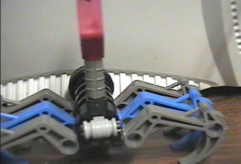 scorpion_back.png
