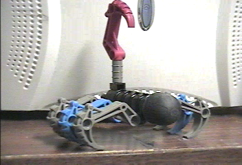 scorpionfront.png