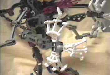 claw.jpg