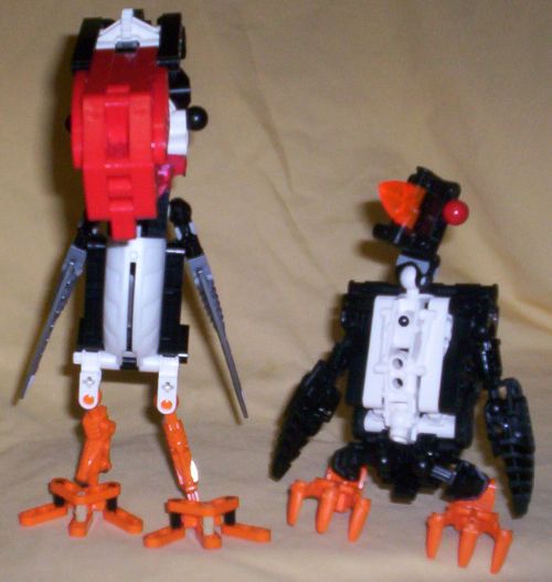 compare01.jpg