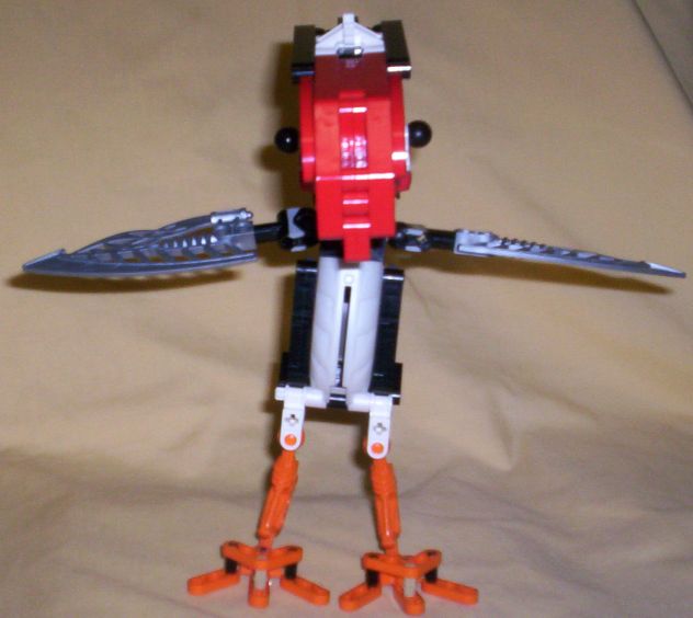 puffin02.jpg