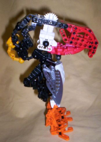 puffin03.jpg