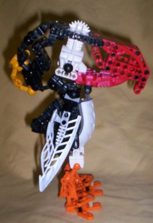 puffin04.jpg