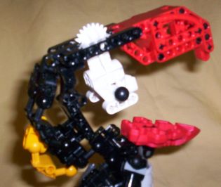 puffin_mouth02.jpg