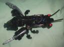 wasp03.jpg