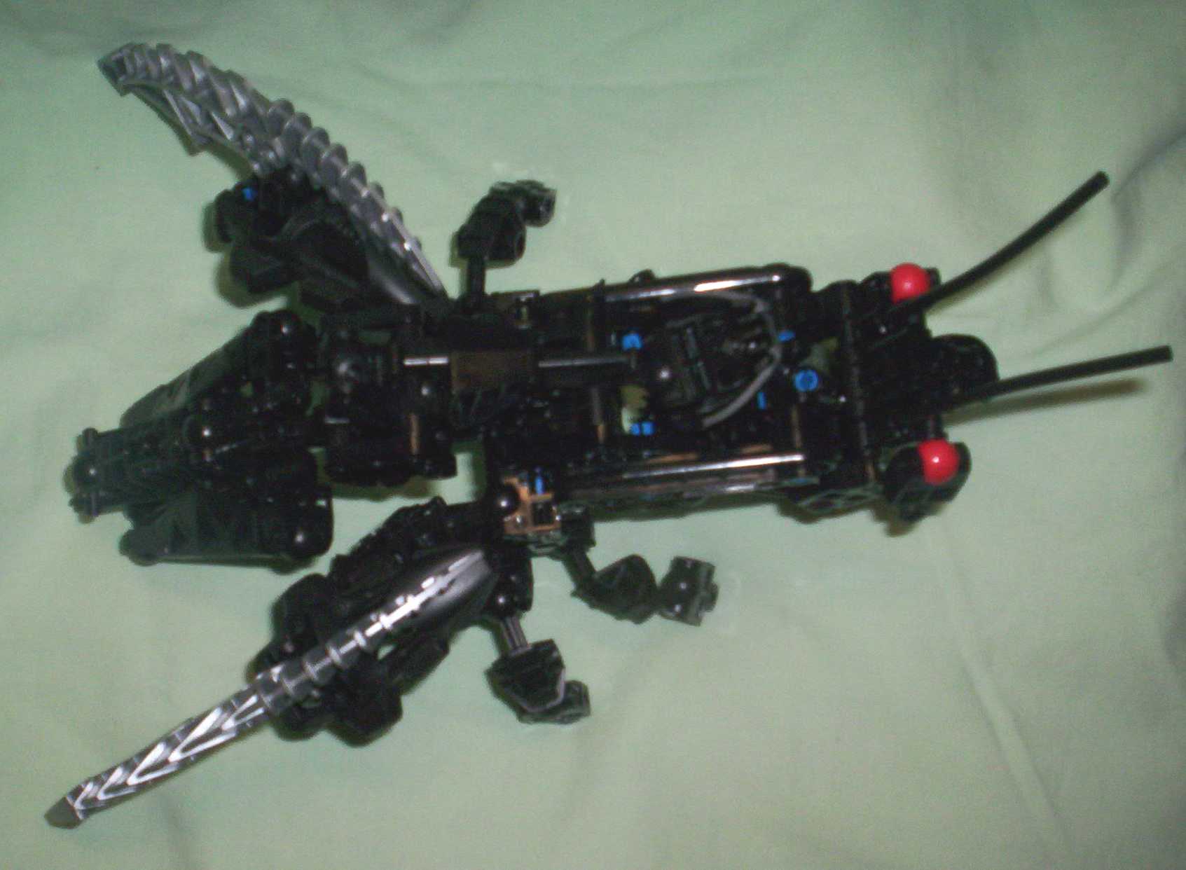 wasp03.jpg