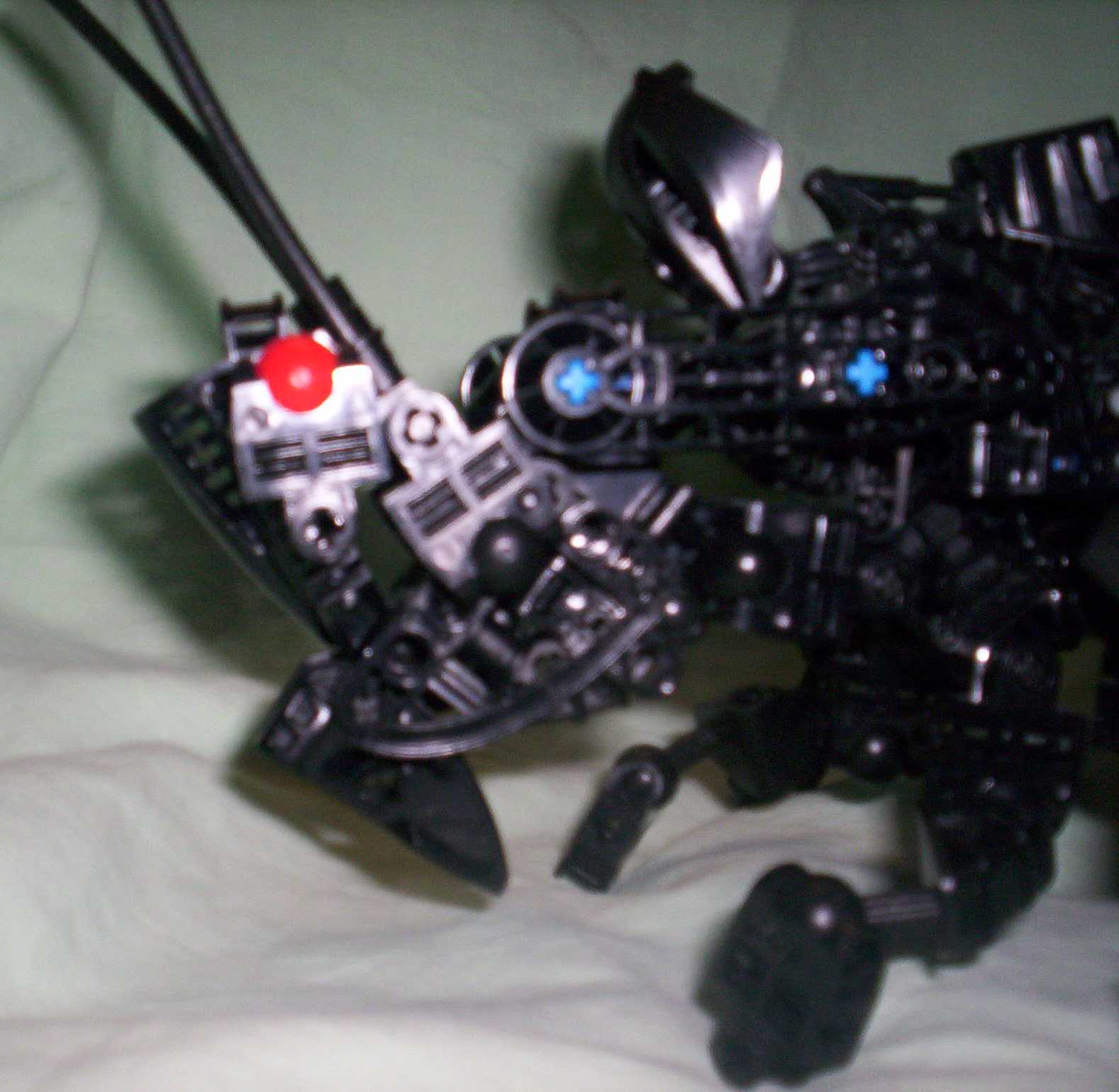 wasp09.jpg