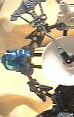 clockface.01.gif
