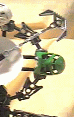 clockface.02.gif