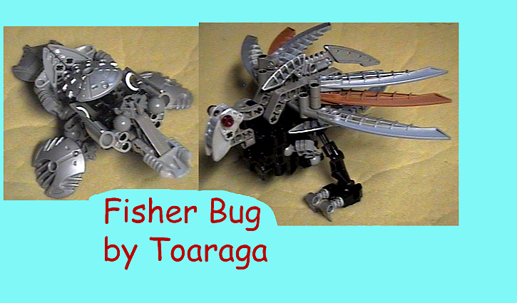 fisher_bug.jpg
