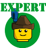 rank-expert2.png