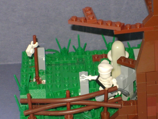 picture_976.jpg