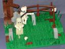 picture_969.jpg