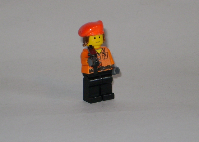 picture_037.jpg