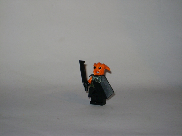 picture_576.jpg